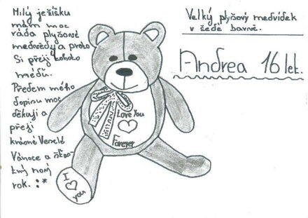 PLYŠOVÝ MEDVĚD