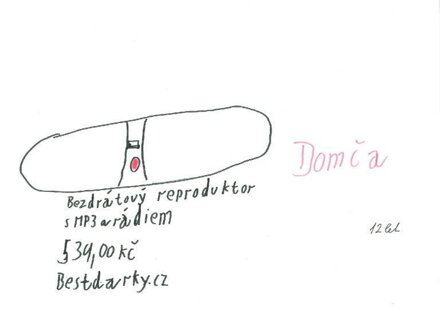 BEZDRÁTOVÝ REPRODUKTOR