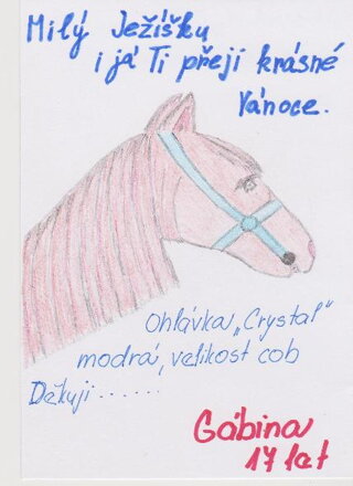 OHLÁVKA NA KONĚ CRYSTAL