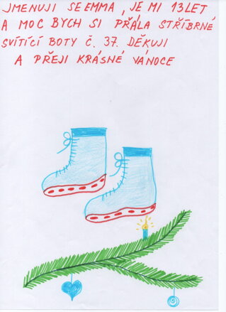 SVÍTÍCÍ STŘÍBRNÉ BOTY VEL.37