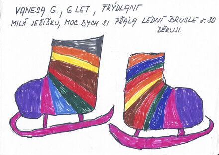 LEDNÍ BRUSLE VEL.30