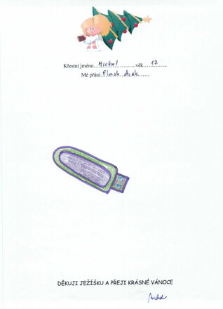 FLASH DISK