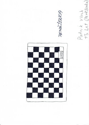 PENĚŽENKA VANS