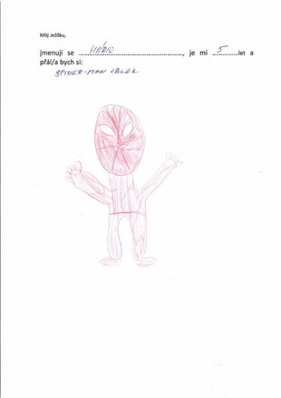 SPIDER-MAN OBLEK