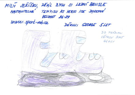 Lední brusle, vel. 26- 29