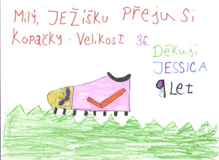 Kopačky vel. 36