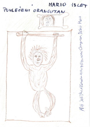 POVLEČENÍ S ORANGUTANEM