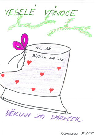 LEDNÍ BRUSLE VEL.28