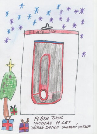 FLASH DISK