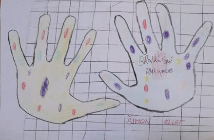 BRANKÁŘSKÉ RUKAVICE
