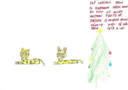 Plyšový gepard